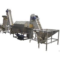 Fruit Processing Machine
