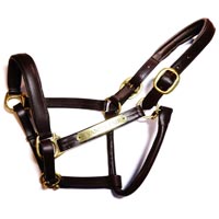 Leather Halters