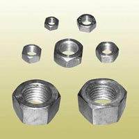 Stainless Steel Nuts