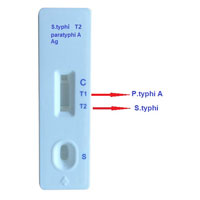 Typhoid Test Kit