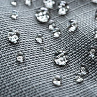 Water Repellent Coatings