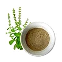 Tulsi Extract