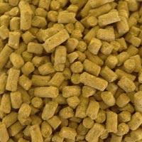 Dairy Cattle Feed