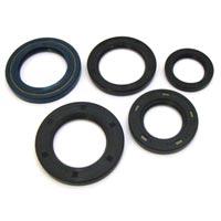Oil Seal Kit
