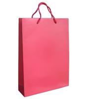 Advertising Paper Bag