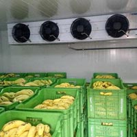 Banana Ripening Chambers
