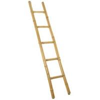 Bamboo Ladder