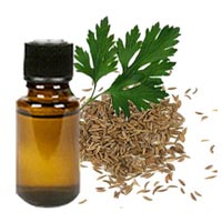 Davana Oil