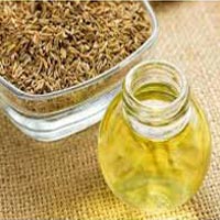 Ajwain Oil