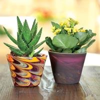 Handmade Flower Pots
