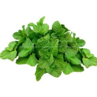 Mint Leaf