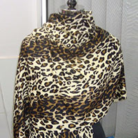 Silk Pashmina Shawls