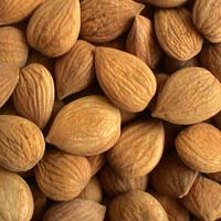 Bitter Apricot Kernels