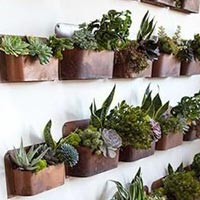 Wall Planters