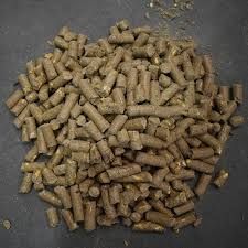 Organic Dairy Cattle Feed 01