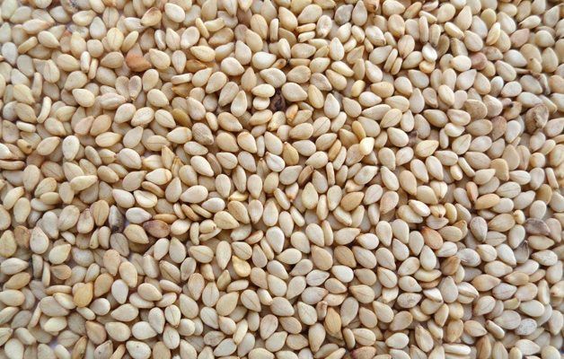 Sesame Seeds 01