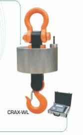 Crane Weighing Scale 04