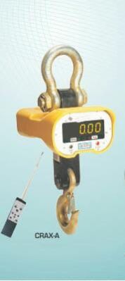 Crane Weighing Scale 02