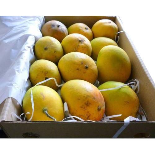 Fresh Mango 02