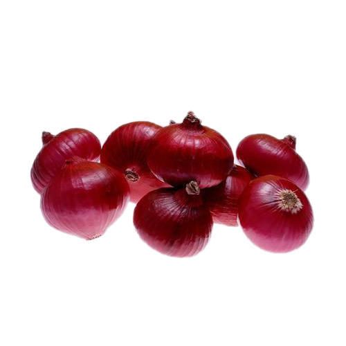 Fresh Red Onion 01