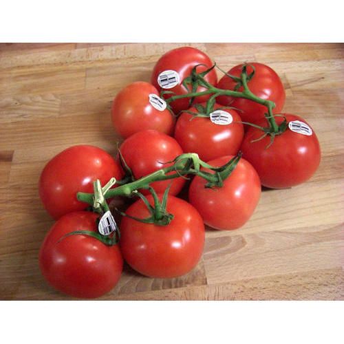 Fresh Red Tomato 01