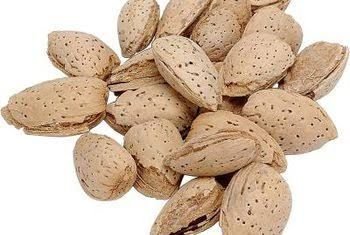 Almond image 04