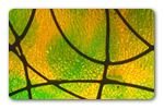 GPI-FGS-006 - Fibre Glass Sheet