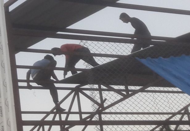 Wooden Floor Elevated Goat Shed Construction Services 05