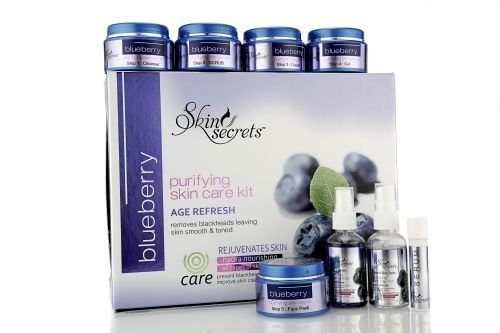 Blueberry Facial Kit 02