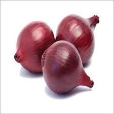 Red Onion 03