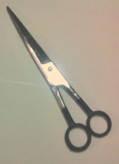 Barber Scissor 05