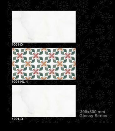 1001-D 300x600 mm Glossy Tiles