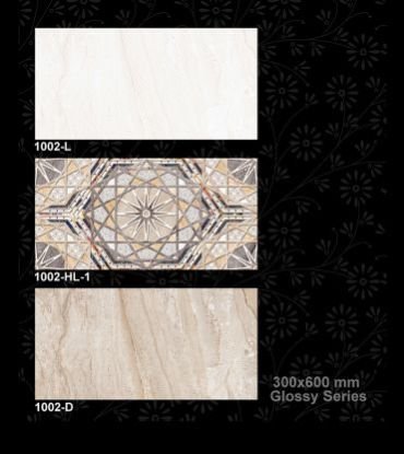 1002-D 300x600 mm Glossy Tiles