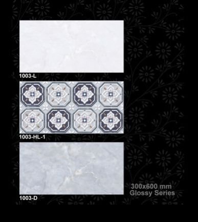 1003-D 300x600 mm Glossy Tiles