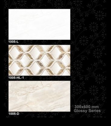 1005-D 300x600 mm Glossy Tiles