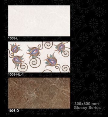 1008-D 300x600 mm Glossy Tiles