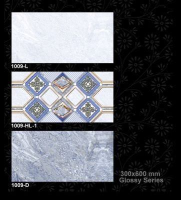 1009-D 300x600 mm Glossy Tiles