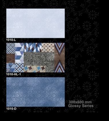 1010-D 300x600 mm Glossy Tiles