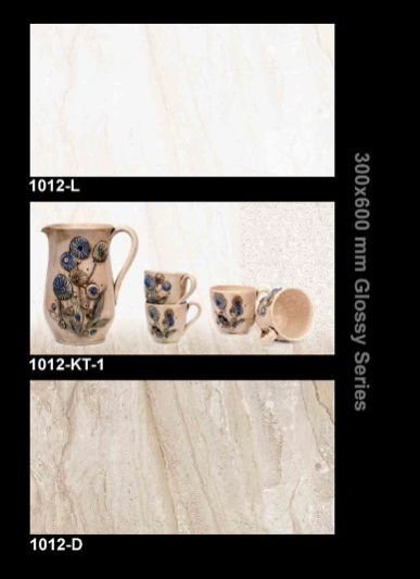 1012 300x600 mm K-Spa Glossy Tiles