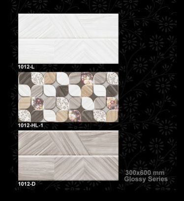 1012-D 300x600 mm Glossy Tiles