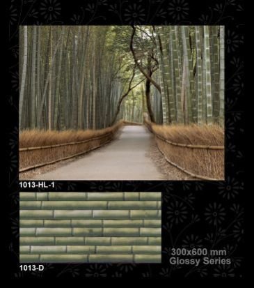 1013-D 300x600 mm Glossy Tiles
