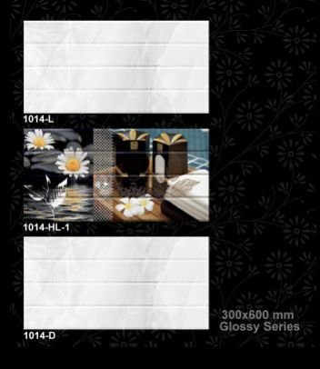 1014-D 300x600 mm Glossy Tiles