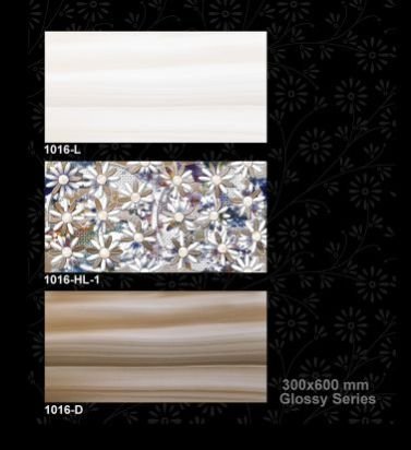1016-D 300x600 mm Glossy Tiles
