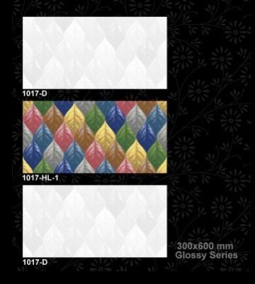 1017-D 300x600 mm Glossy Tiles