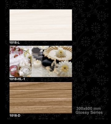 1018-D 300x600 mm Glossy Tiles