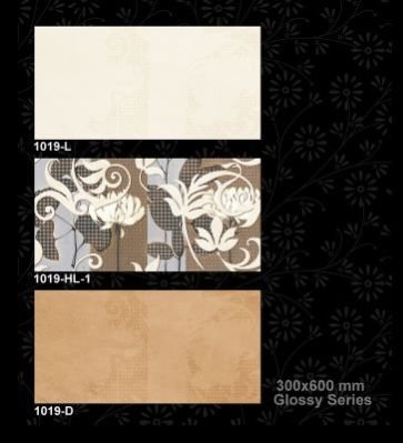 1019-D 300x600 mm Glossy Tiles