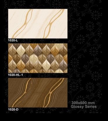 1020-D 300x600 mm Glossy Tiles