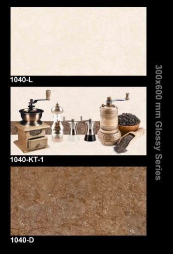 1040 300x600 mm K-Spa Glossy Tiles