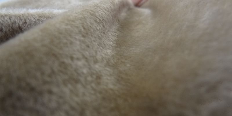 Velvet Touch Sofa Fabric 05