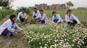 Agricultural Testing Services 05